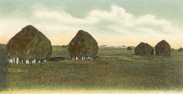 The marshes, c. 1905