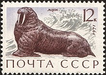 Morse sur un timbre de 1971 de l'Union soviétique.