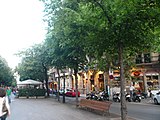 Català: Til·lers de la Rambla de Catalunya. Rambla de Catalunya. Eixample (Barcelona). ca:Tilia x europaea i ca:Tilia tomentosa. This is a a photo of a protected or outstanding tree in Catalonia, Spain, with id: MA-080193/0105-02-96 Object location 41° 23′ 43.92″ N, 2° 09′ 26.58″ E  View all coordinates using: OpenStreetMap