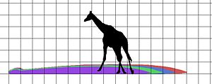 Titanoboa Size and Giraffe Size.jpg