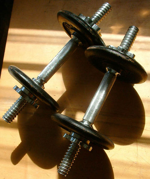 File:TwoDumbbells.JPG