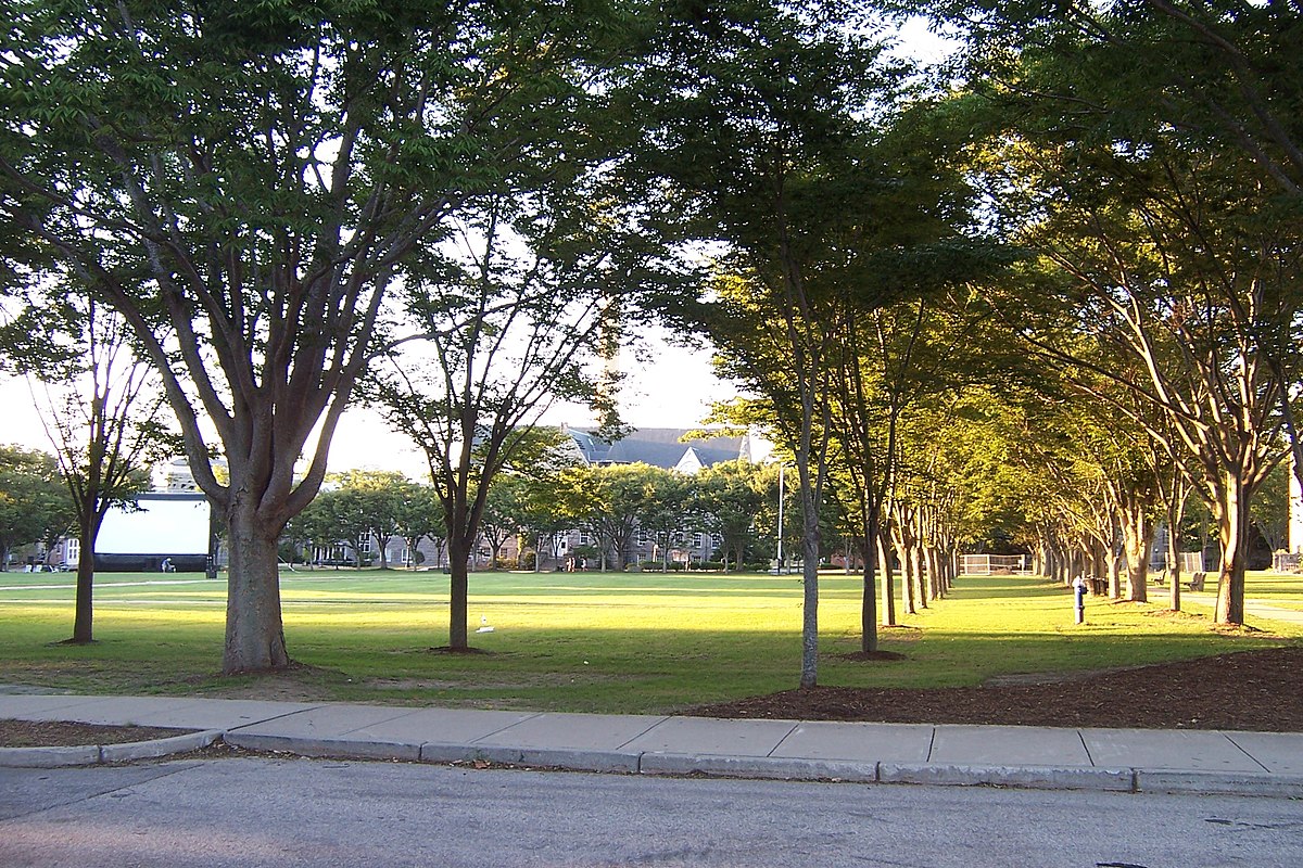 University of Rhode Island (университет род-Айленда). Род-Айлендский университет реклама. University of Crete. Род-Айлендская школа дизайна.