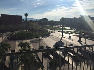 University Of Arizona