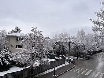 Part of the Višnjik street in the winter