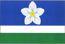 Bandera de Vílanec