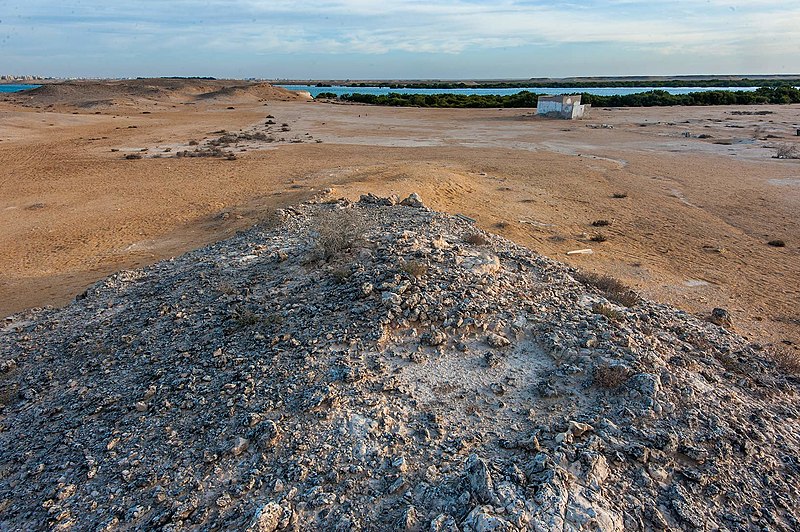 File:View of Al Khor Island from a hillock.jpg