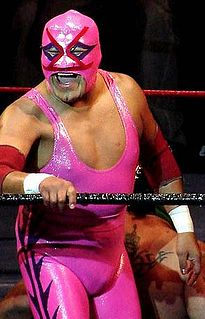 Villano V Mexican professional wrestler