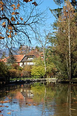 Volčji Potok, arboretum