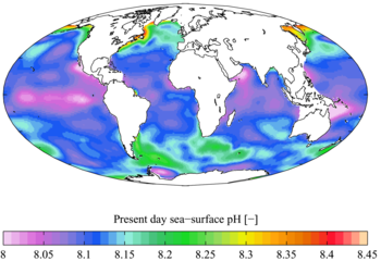 "Present day" (1990s) sea surface pH
