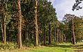 Wandeling door het Katlijker Schar (Ketliker Skar).