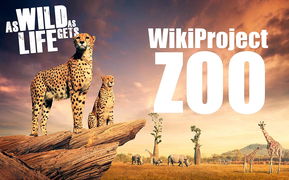 Zoo Tycoon - Wikipedia