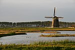 Wogmeer molen Nieuw Leven avondlicht.jpg-da