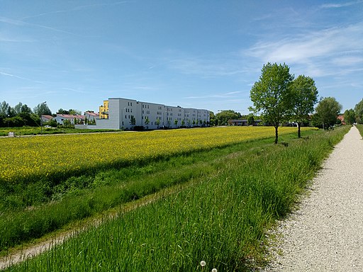 Wohnhäuser an der Isarstraße (Freising)