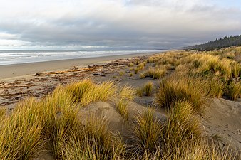 Woodend Beach, Canterbury, New Zealand