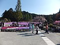 永沢寺花しょうぶ園 (25)