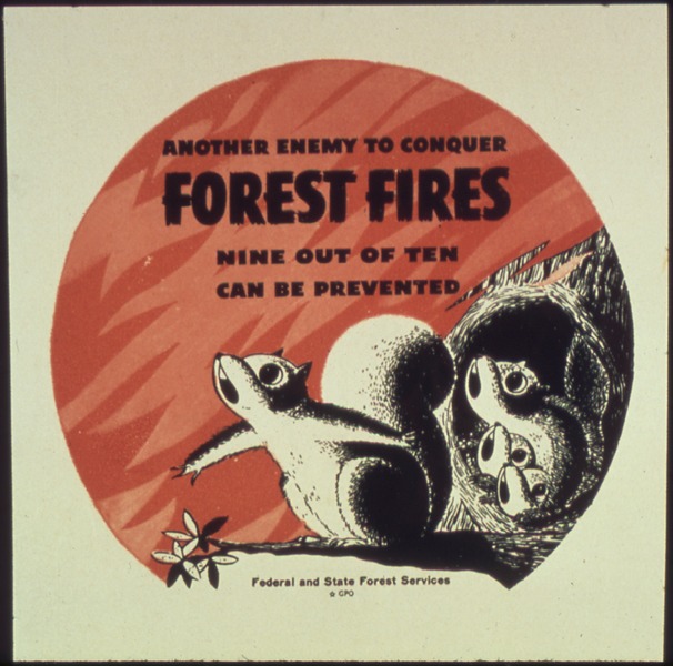 File:"Another enemy to conquer forest fires, nine out of ten can be prevented" - NARA - 513859.tif