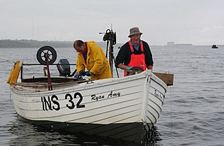 Longline fishing Commercial fishing technique