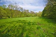 Čeština: Údolí Okluky, vojenský újezd Březina, okres Vyškov