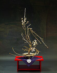 華道遠州による桜の古典生花