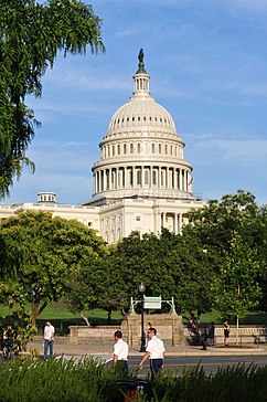 U.S. Capitol Building dome