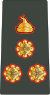 13.Bhutan Army-BG.svg