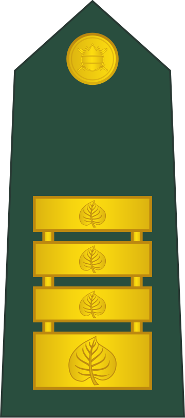 File:17-Slovenian Army-COL.svg