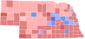 1924 Nebraska lieutenant gubernatorial election