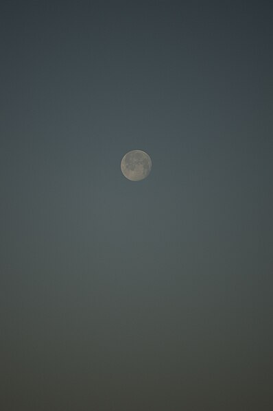 File:1 Moon-DSC 0266.jpg