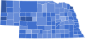 2004 Nebraska Democratic presidential primary