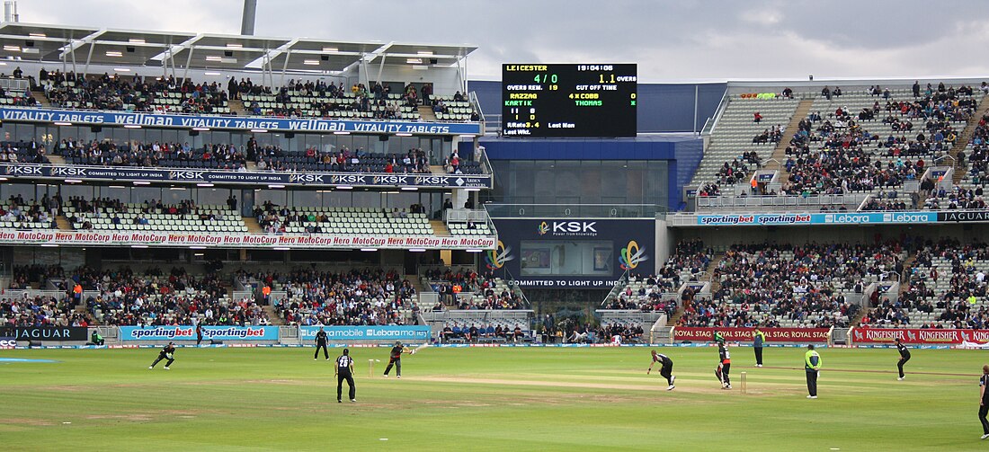 Somerset County Cricket Club in 2011