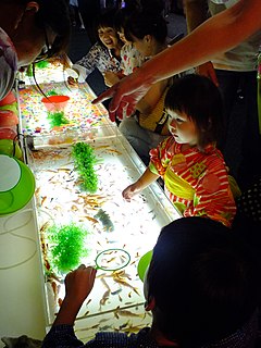 Goldfish scooping traditional Japanese game