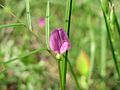 Vorschaubild der Version vom 14:06, 8. Jun. 2016