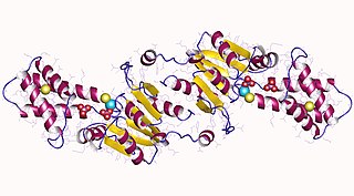 <span class="mw-page-title-main">N-acylneuraminate-9-phosphatase</span>