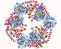 Thumbnail for Magnesium chelatase