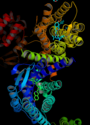 Dimerna struktura ljudskog kapa opioidnog GPCR