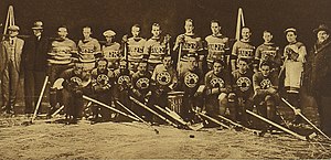 Mistrovství Světa V Ledním Hokeji 1933