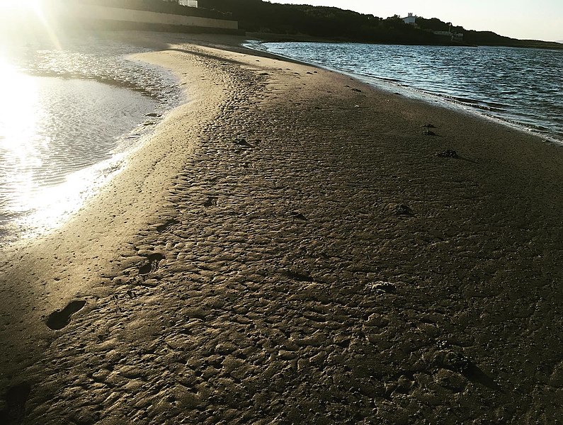 File:A "praia" no Estuário do Cávado.jpg