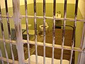 Una vecchia cella ad Alcatraz