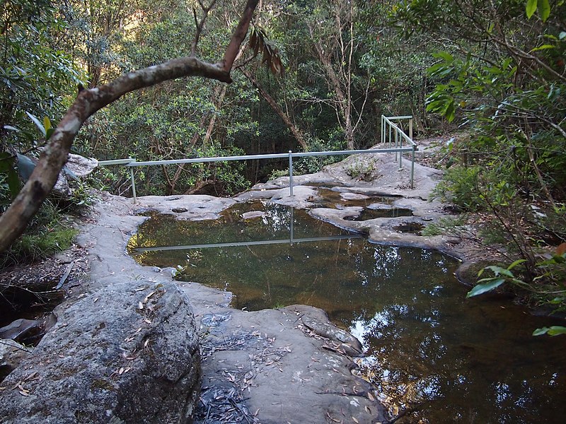 File:A fence guarding a steep drop in Lyrebird Gully - panoramio.jpg