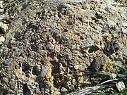 Natural pavement in an equipment yard