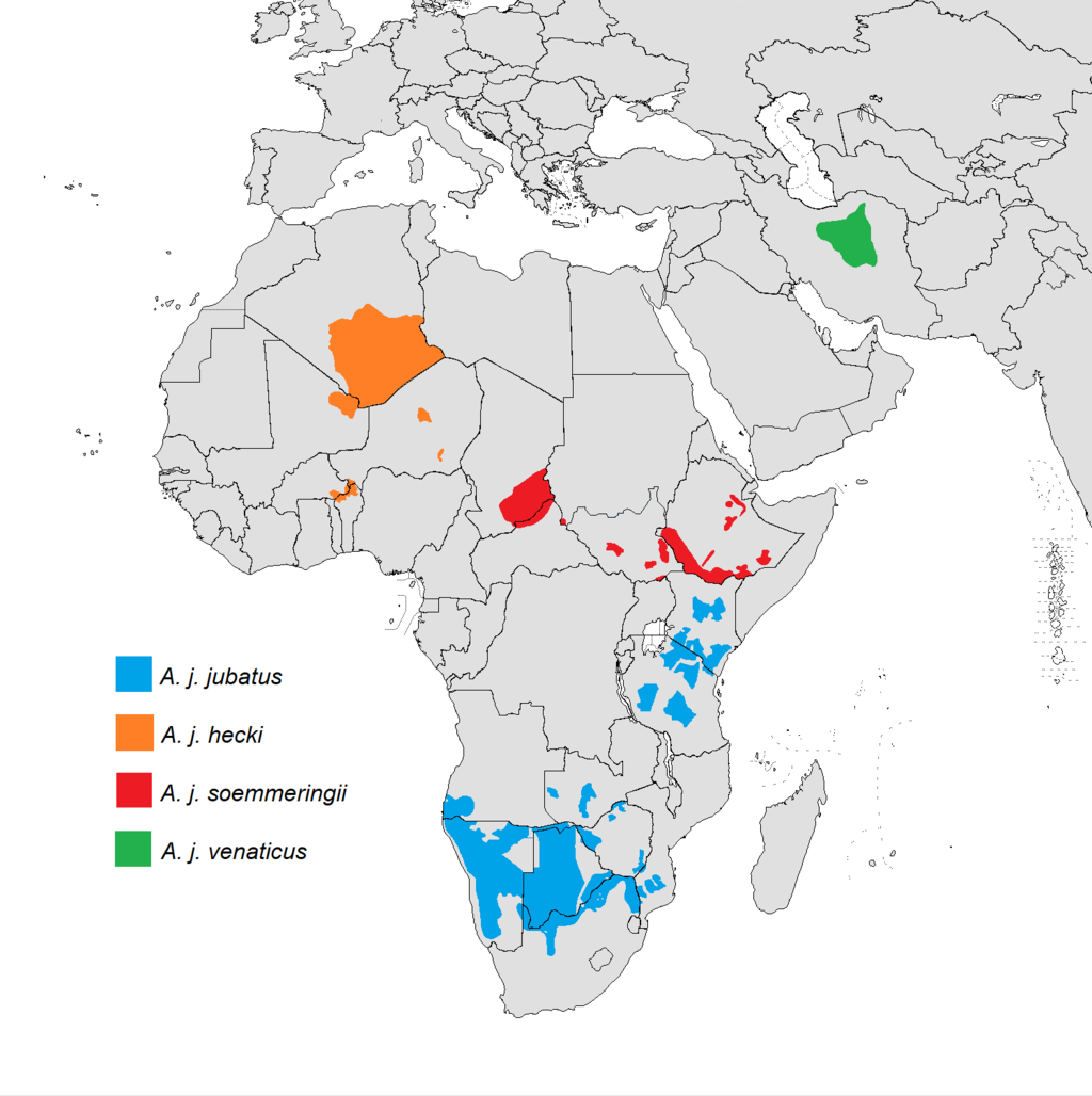 Map showing the distribution of the cheetah in 2015