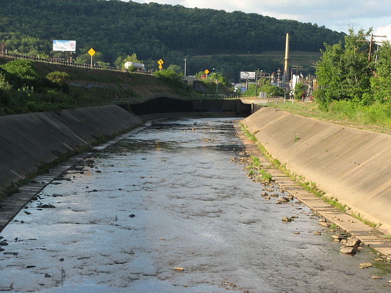 File:Allegheny River in Bradford.jpg