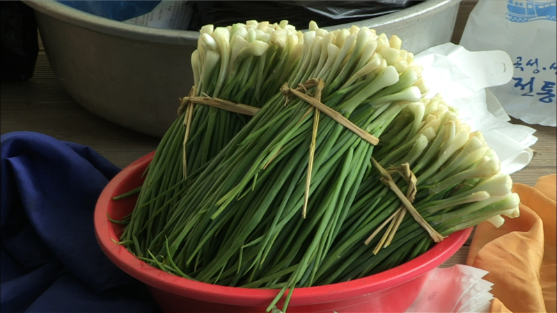 File:Allium × proliferum.png