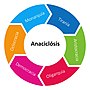 Miniatura para Anaciclosis