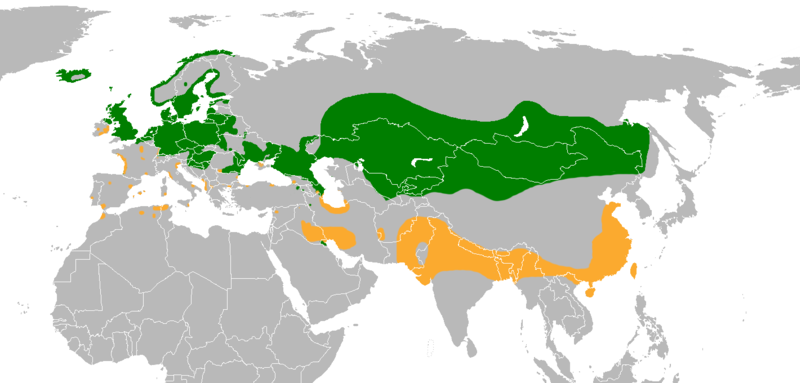 Fil:Anser anser distribution map.png