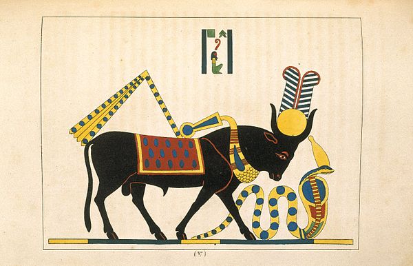 Api or Hapi (Apis, Taureau Consacré a la Lune), N372.2, Brooklyn Museum