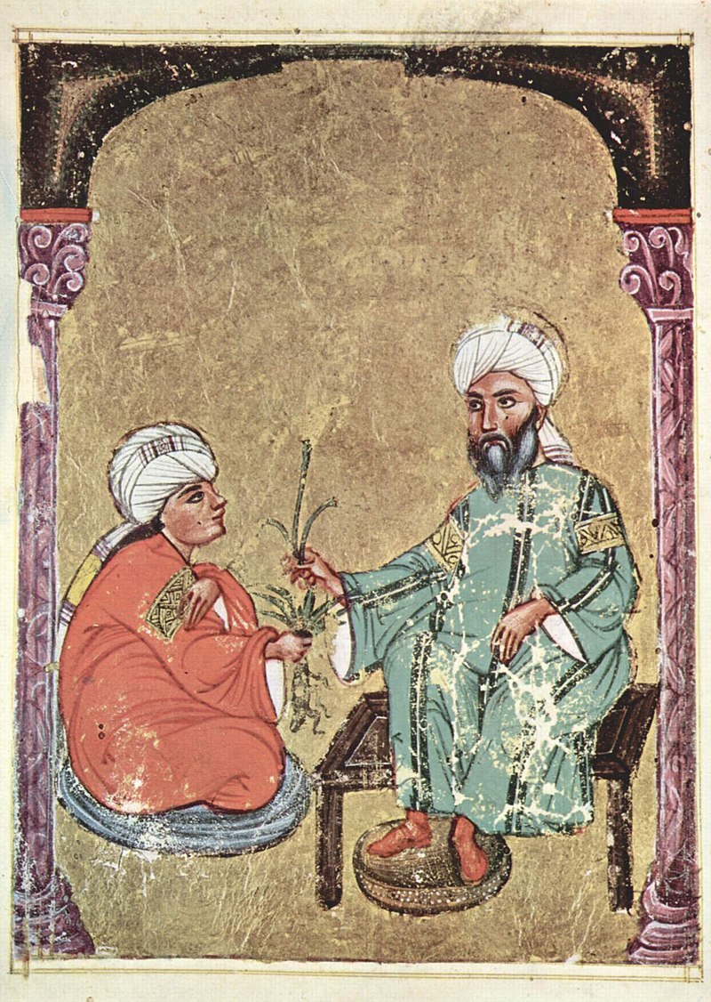 Medicine in the medieval Islamic world - Wikipedia