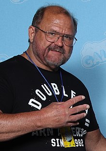 Arn Anderson (48481801426) .jpg