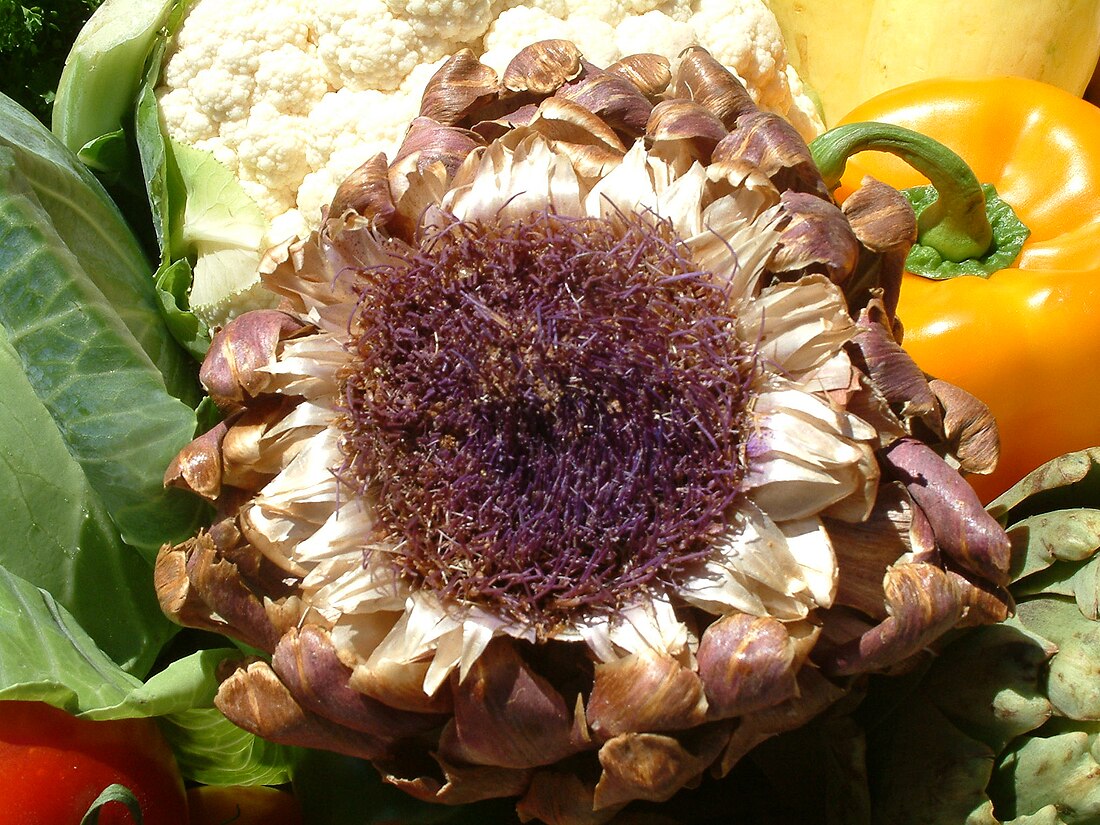 Castroville Artichoke Festival