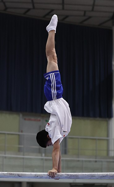 File:Austrian Future Cup 2018-11-23 Training Afternoon Parallel bars (Martin Rulsch) 0143.jpg